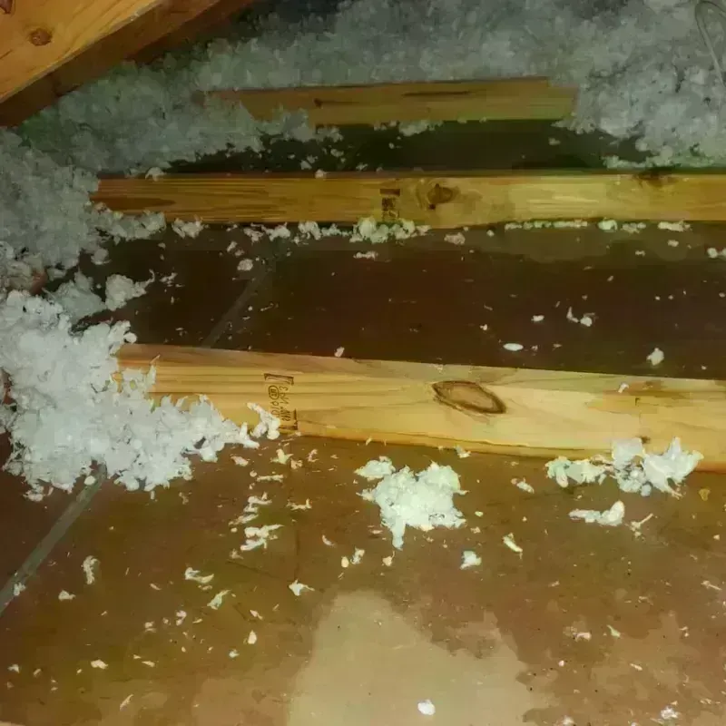 Attic Water Damage in Plain City, OH