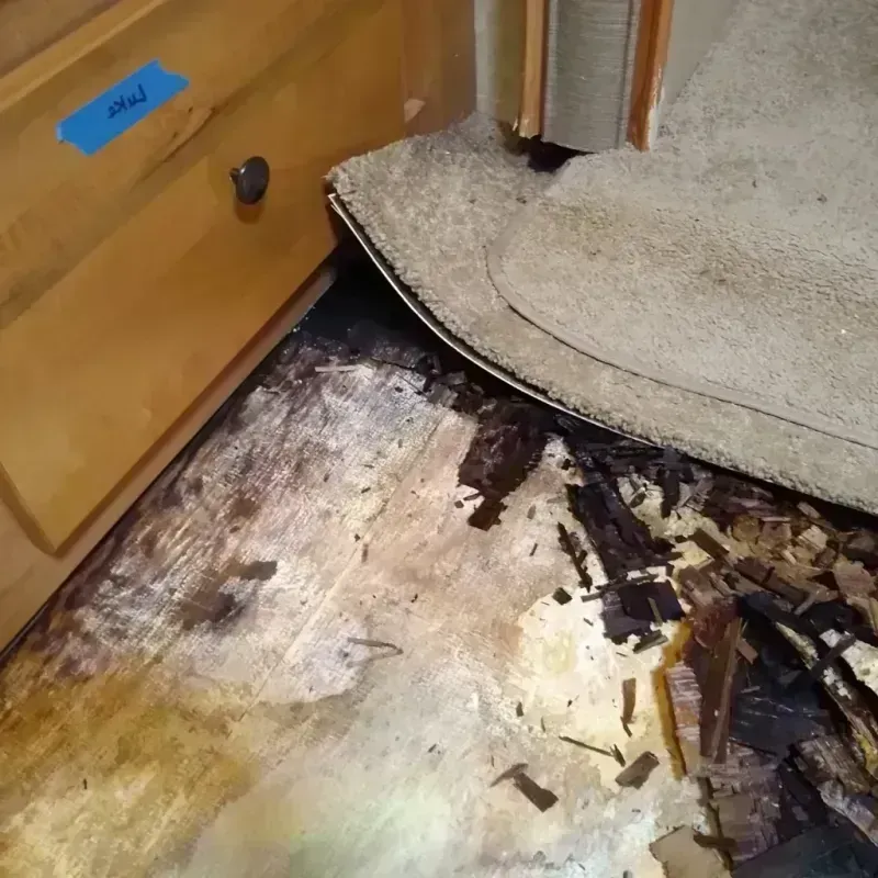 Wood Floor Water Damage in Plain City, OH